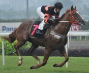 Rising Empire bolts in for an impressive win on Sunday.<br>Photo by Singapore Turf Club